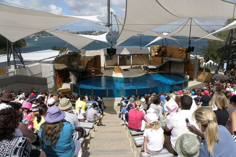 Sydney Taronga Zoo General Entry Ticket - Mackay Tourism 5