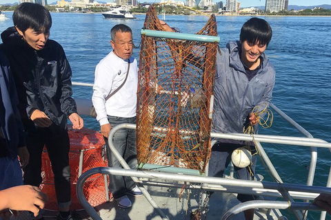 Crab Trip From Gold Coast - Mackay Tourism 1