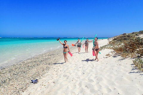 Ningaloo In A Day - Full Day Hike And Snorkel Tour With Lunch - Mackay Tourism 1