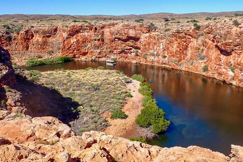 Ningaloo In A Day - Full Day Hike And Snorkel Tour With Lunch - Mackay Tourism 2
