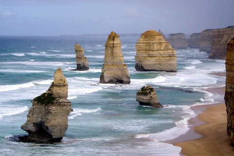 LGBT+ Friendly 2 Day Private Tour Great Ocean Road + Phillip Island - Mackay Tourism 0