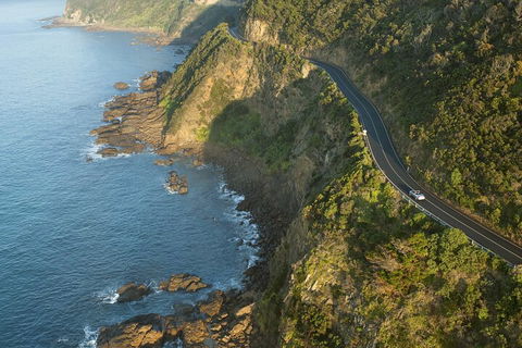 LGBT+ Friendly 2 Day Private Tour Great Ocean Road + Phillip Island - Mackay Tourism 4
