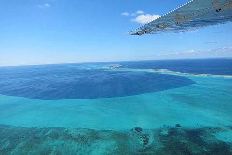 Shipwreck Special Full Day Tour Of The Abrolhos Islands - Mackay Tourism 2