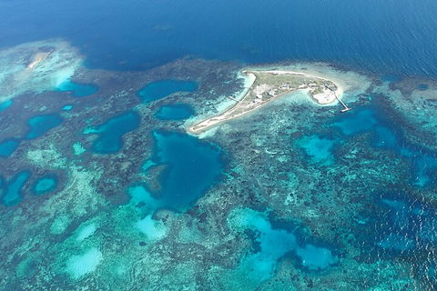 Shipwreck Special Nature Tour/Half Day Tour - Mackay Tourism 5