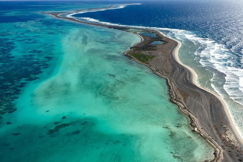 Pink Lake + Abrolhos Islands Scenic Flight - Mackay Tourism 3