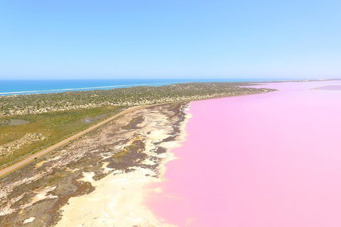 Pink Lake + Abrolhos Islands Scenic Flight - Mackay Tourism 4