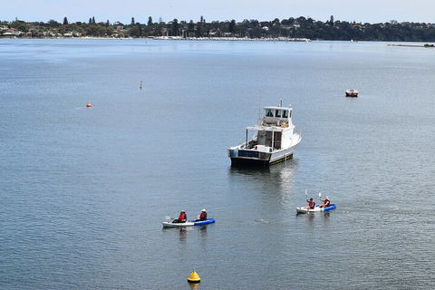 Cliffs And Caves Kayak Tour In Swan River - Mackay Tourism 2