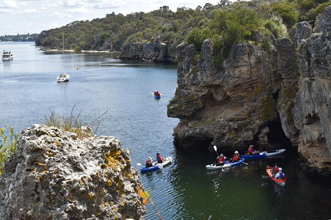 Cliffs And Caves Kayak Tour In Swan River - Mackay Tourism 5