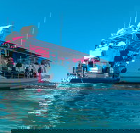 Best of Moreton Bay Cruise - Mackay Tourism