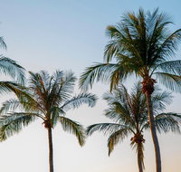 Darwin City Sightseeing Tour - Mackay Tourism