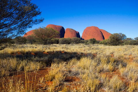 Kata Tjuta Sunrise And Valley Of The Winds Half-Day Trip - Mackay Tourism 1