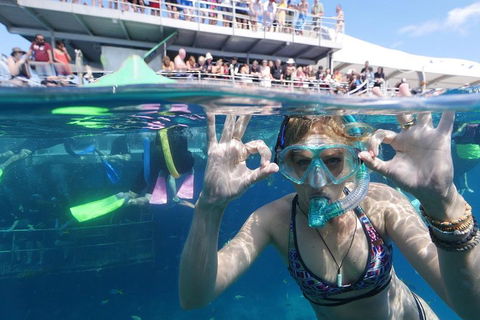 Great Barrier Reef Day Cruise From Cairns Including Snorkeling And Marine Biologist Presentation - Mackay Tourism 0