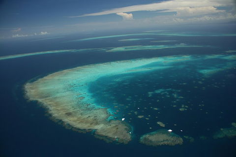 Great Barrier Reef Day Cruise From Cairns Including Snorkeling And Marine Biologist Presentation - Mackay Tourism 1