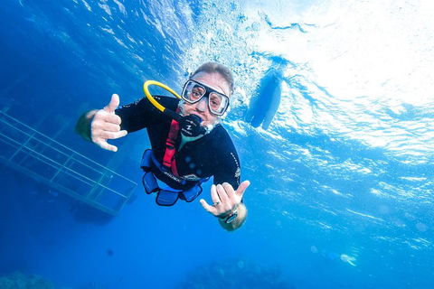Great Barrier Reef Day Cruise From Cairns Including Snorkeling And Marine Biologist Presentation - Mackay Tourism 3