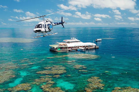 Great Barrier Reef Day Cruise From Cairns Including Snorkeling And Marine Biologist Presentation - Mackay Tourism 5