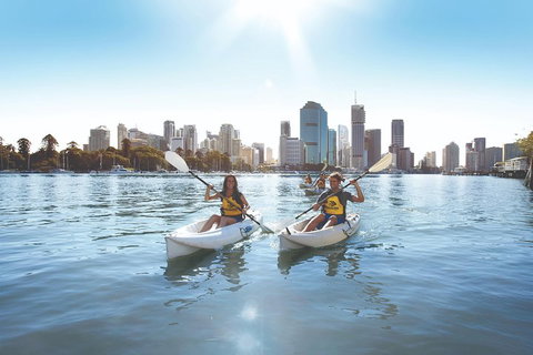 Brisbane Kayak Tour - Mackay Tourism 0