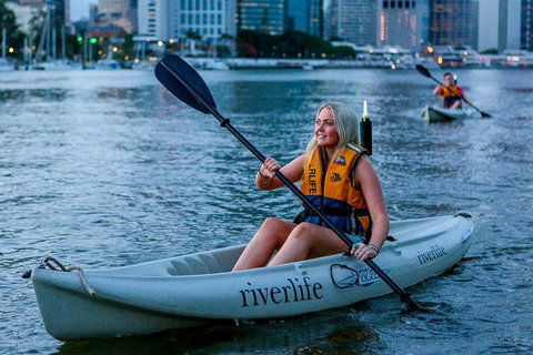 Brisbane Kayak Tour - Mackay Tourism 2