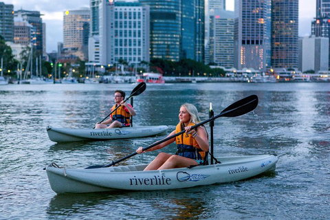Brisbane Kayak Tour - Mackay Tourism 3