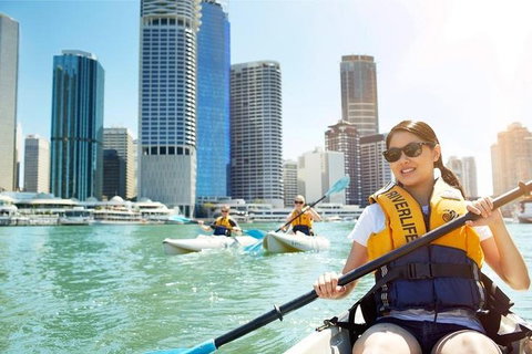 Brisbane Kayak Tour - Mackay Tourism 5