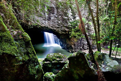 Natural Bridge & Springbrook Waterfalls Tour + Hot Air Balloon With Breakfast - Mackay Tourism 4