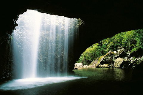 Natural Bridge & Springbrook Waterfalls Tour - Mackay Tourism 0