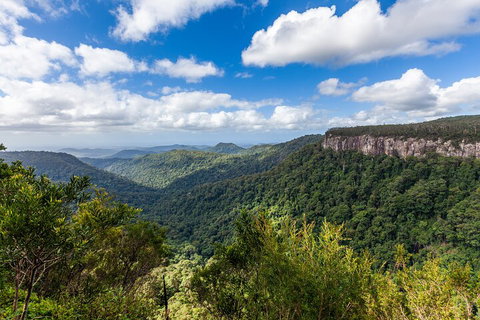 Natural Bridge & Springbrook Waterfalls Tour - Mackay Tourism 1