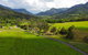 Natural Bridge & Springbrook Waterfalls Tour - thumb 2
