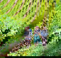 Tasmanian Wine Tour