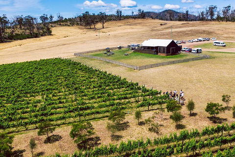 Tasmanian Wine Tour - Mackay Tourism 3