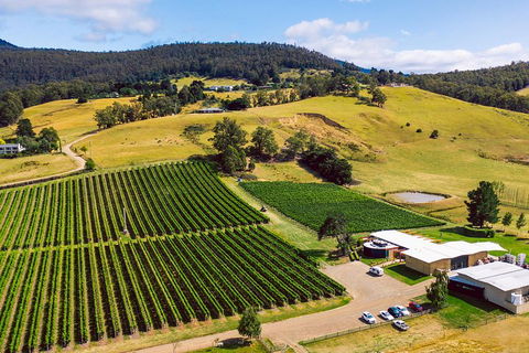 Tasmanian Wine Tour - Mackay Tourism 4