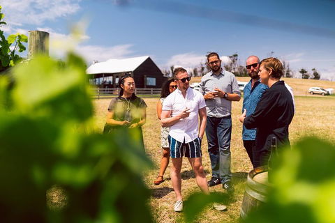 Tasmanian Wine Tour - Mackay Tourism 5