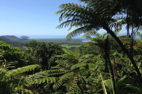 Daintree And Cape Tribulation Full Day Guided Tour - Mackay Tourism 2