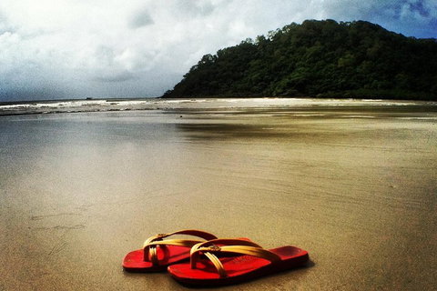 Daintree And Cape Tribulation Full Day Guided Tour - Mackay Tourism 4