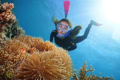 Quicksilver Outer Great Barrier Reef Snorkel Cruise From Palm Cove - Mackay Tourism 2