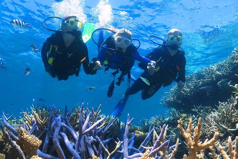 Quicksilver Outer Great Barrier Reef Snorkel Cruise From Palm Cove - Mackay Tourism 3