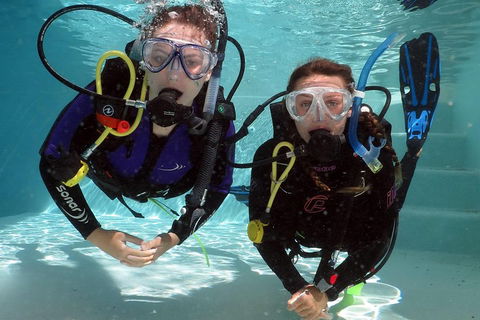 Quicksilver Dive 4 Day PADI Learn To Dive Course - Mackay Tourism 2