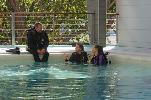 Quicksilver Dive 4 Day PADI Learn To Dive Course - Mackay Tourism 3