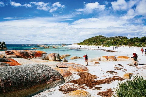 Wineglass Bay Private Charter Service - Mackay Tourism 3