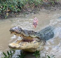 Top End Waterfalls and Wetlands - Mackay Tourism