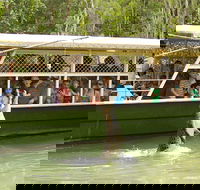 Hartley's Crocodile Adventure Half-Day Tour - Mackay Tourism