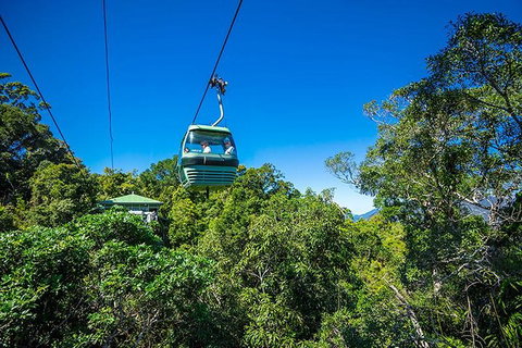 Skyrail Rainforest Cableway Day Trip From Cairns - Mackay Tourism 1