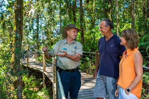Kuranda Scenic Railway Day Trip From Cairns - Mackay Tourism 1