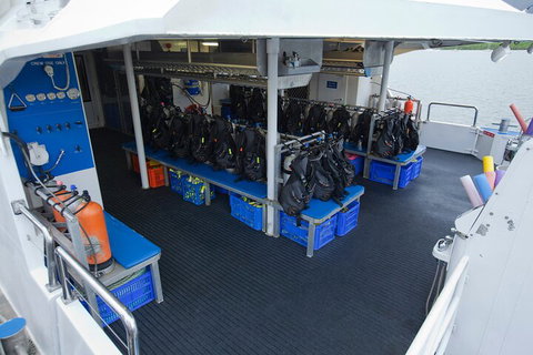 Silverswift Outer Great Barrier Reef Dive And Snorkel Cruise From Cairns - Mackay Tourism 0