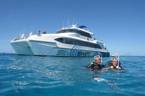 Silverswift Outer Great Barrier Reef Dive And Snorkel Cruise From Cairns - Mackay Tourism 4