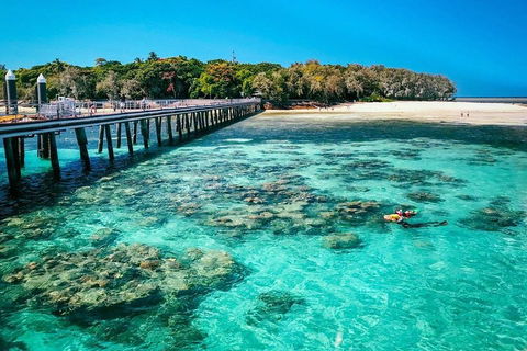 Green Island Discovery Including Glass Bottom Boat Tour Departing Cairns - Mackay Tourism 4