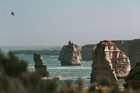 Half-Day Or Full-Day Tour With Private Guide From Melbourne - Mackay Tourism 0