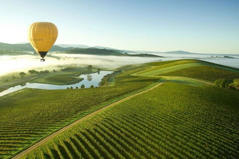 Half-Day Or Full-Day Tour With Private Guide From Melbourne - Mackay Tourism 4