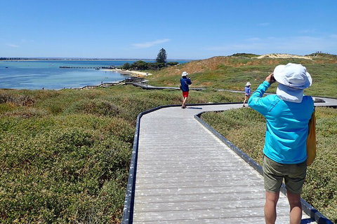 Penguin And Seal Islands Sea Kayaking Experience - Mackay Tourism 1