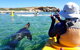 Penguin And Seal Islands Sea Kayaking Experience - thumb 2