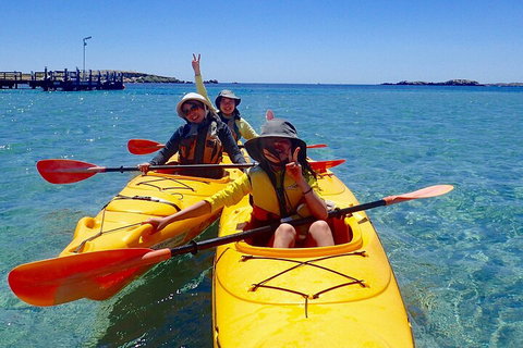 Penguin And Seal Islands Sea Kayaking Experience - Mackay Tourism 4